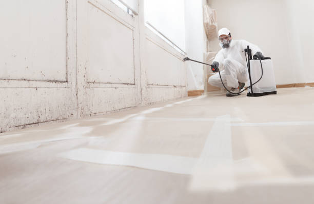 24/7 Emergency Mold Remediation experts in Pineville, KY