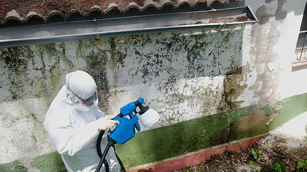Top rated local Mold Remediation specialists in Pineville, KY